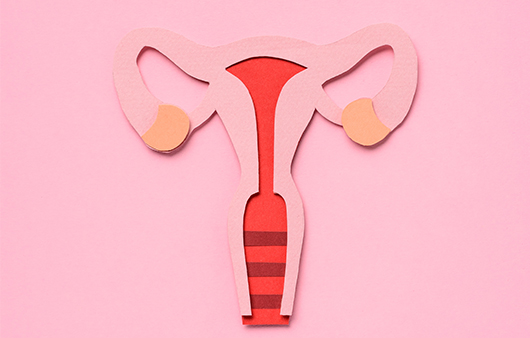 생리통 심하다면 자궁근종일 수도? 최동석 원장이 알려주는 자궁근종 증상과 수술