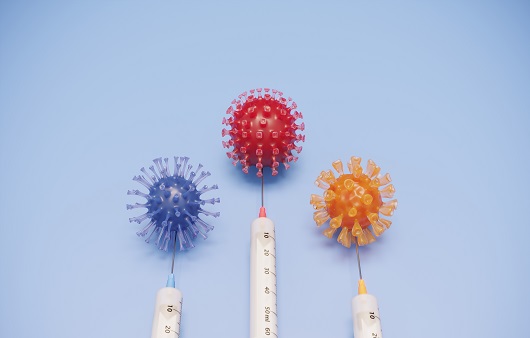 접종 효과 교차 백신 백신 교차접종