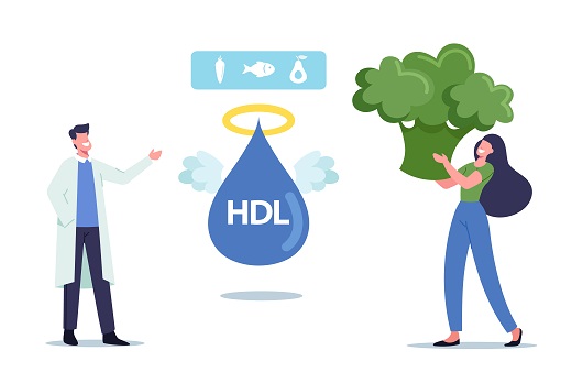 몸에 좋은 hdl  콜레스테롤