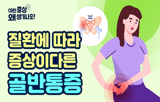 골반 통증은 다양한 질환에 의해 발생할 수 있다.