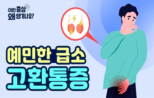 고환통증 원인과 증상 의심질환은?