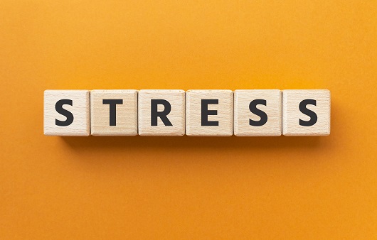 과도한 스트레스는 정신 건강뿐만 아니라 판단력에도 영향을 미친다
