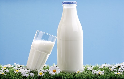  우유를 마시면 콜레스테롤 수치가 높아진다? (연구)