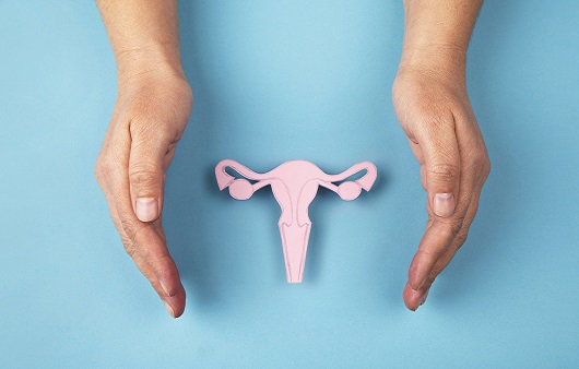 ‘다낭성난소증후군’의 증상과 자궁 기혈을 돕는 한방치료