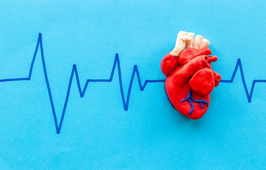 심장질환은 우리나라 사망원인 중 2위를 차지한다