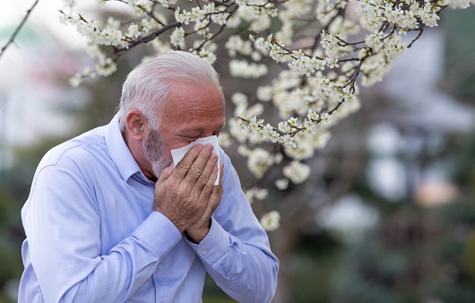 가을철에는 알레르기 비염으로 인해 고생하는 사람들의 수가 크게 늘어난다ㅣ출처: 게티 이미지뱅크