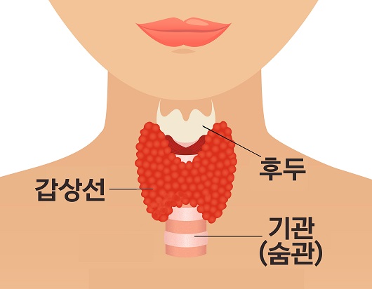 출처: 게티이미지 뱅크