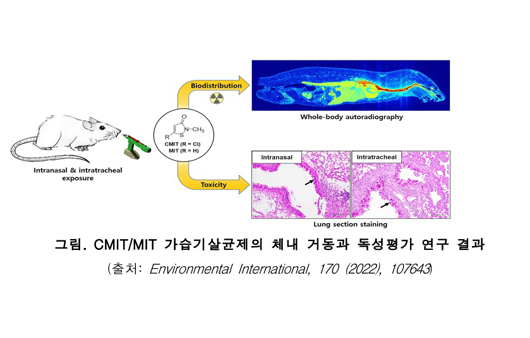 cmit/mit 가습기살균제의 체내 거동과 독성평가 연구 결과ㅣ출처: 환경부