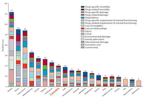 대마초의 위험성 ㅣ출처: ranking drugs and alcohol by overall harm