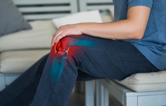 ‘무릎 관절’ 지키는 성분, 그리고 운동법은?