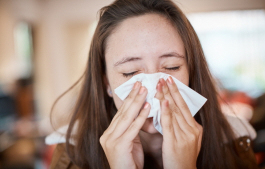 알레르기 비염은 재채기와 콧물, 가려움증 등의 증상을 동반한다