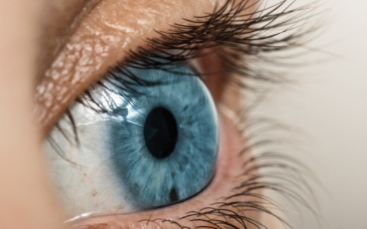 Glaucoma pode levar à cegueira se não for tratado ㅣ Fonte: Getty Images Bank