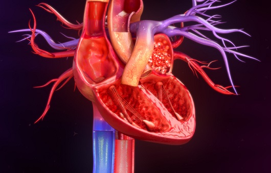 심장 두껍게 만드는 고혈압...심장질환 3가지