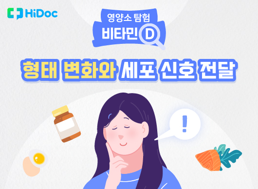[카드뉴스] 비타민 D ③ 뼈 건강과 면역력 조절에 도움이 되는 과정