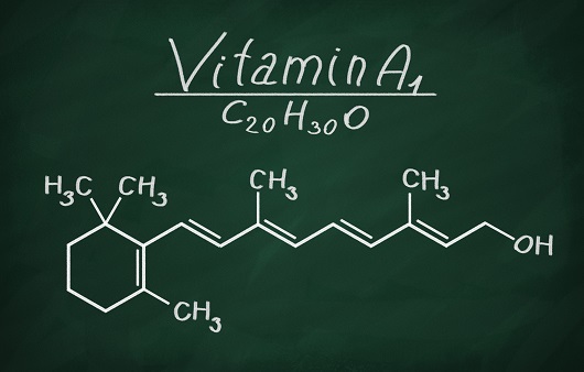 [비타민 바이블] 비타민 A가 부족하면 우리 몸에 생기는 일