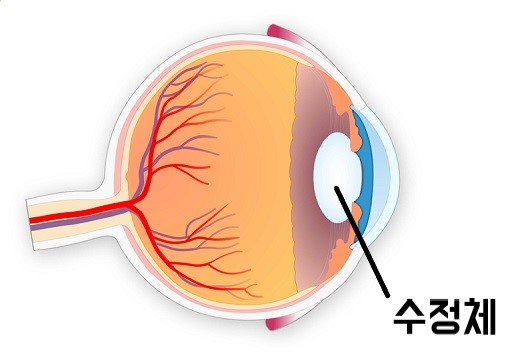 출처:게티이미지 뱅크