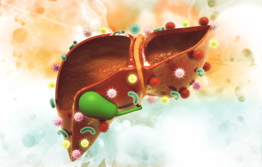 간암의 주요 원인인 간염ㅣ출처: 게티 이미지뱅크