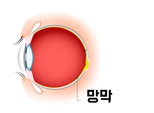 출처: 게티 이미지뱅크