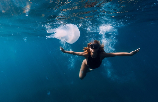 해수욕을 할 때는 해파리에 쏘이지 않도록 주의해야 한다ㅣ출처: 게티 이미지뱅크