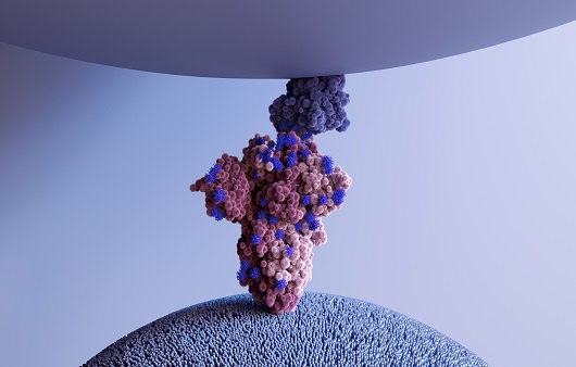 코로나바이러스는 스파이크 단백질을 이용해 인체 세포에 침투한다ㅣ출처: 클립아트코리아