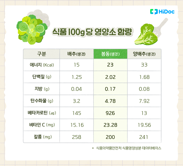 배추, 봄동, 양배추 100당 영양소 함량 | 출처 : 하이닥