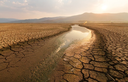 가뭄은 대기 중 오존 농도를 증가시킨다ㅣ출처: 게티이미지 뱅크