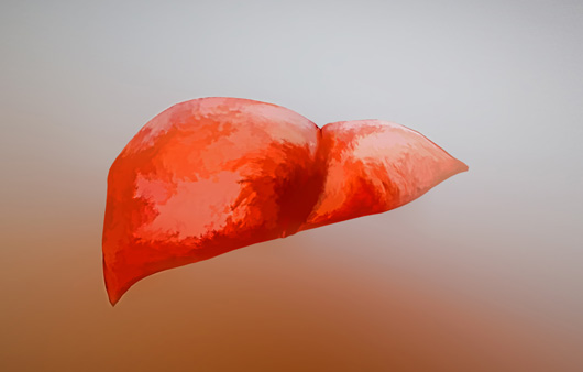 “Identifying Red Flag 3 for Liver Damage and Tips for Maintaining Liver Health”