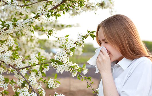 봄이 오면 어김없이 재채기와 함께 가려움이 심해지는 알레르기성 피부 질환이 찾아온다ㅣ출처: 게티이미지뱅크
