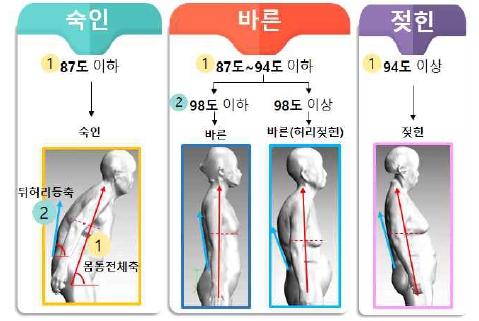 고령자 체형 분류 기준 예시ㅣ출처: 국가기술표준원 제공