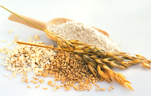 귀리는 다른 곡물에 비해 단백질 함량이 높다 | 출처 : 클립아트코리아