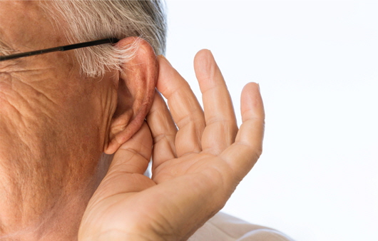 청각기관이 노화하면서 생기는 노인성 난청ㅣ출처: 게티 이미지뱅크