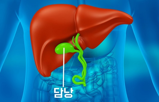 급체, 소화불량 나타나는 '담석증'...몸안에 돌 쌓이는 병