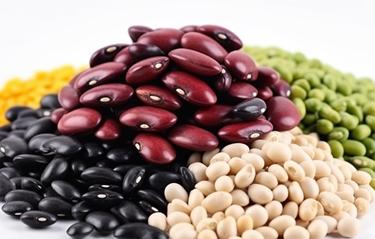 다양한 콩의 종류 | 출처: 미드저니