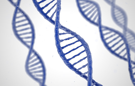뮤코리피드증은 유전자 변이로 발생하는 희귀질환이다ㅣ출처: 게티이미지뱅크