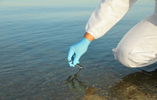 콜레라균은 해수에서도 생존이 가능해 해산물 섭취 시 주의해야 한다 ㅣ출처 : 게티이미지뱅크