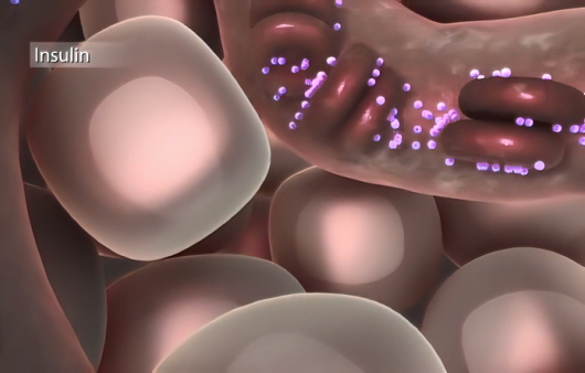 인슐린｜출처: 게티이미지뱅크