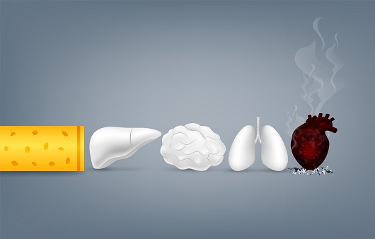 흡연은 심혈관계 질환의 중요한 위험인자다ㅣ출처: 게티이미지뱅크