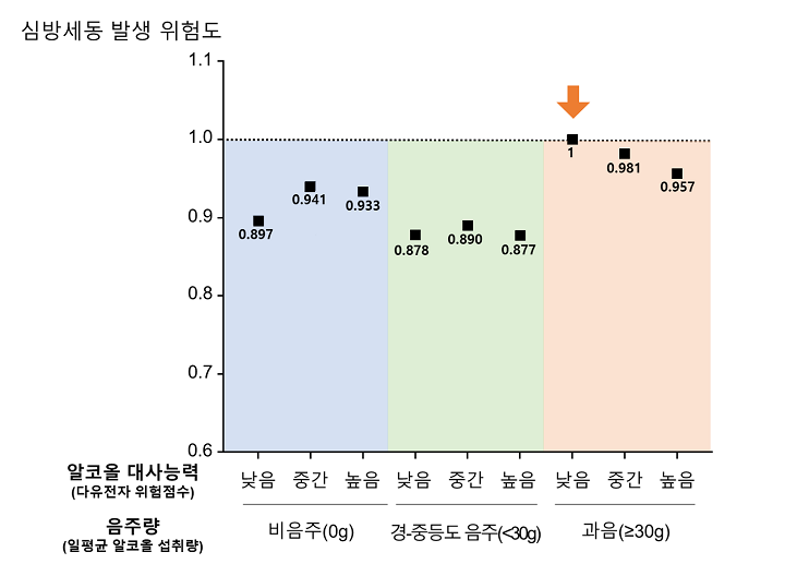 일평균 음주량 및 알코올 대사능력에 따른 심방세동 발생 위험도 비교｜출처: 서울대학교병원