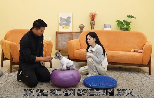 소녀시대 태연이 반려견 제로의 짐볼 운동을 선보였다 | 출처: 유튜브 ‘강형욱의 보듬TV’ 캡처