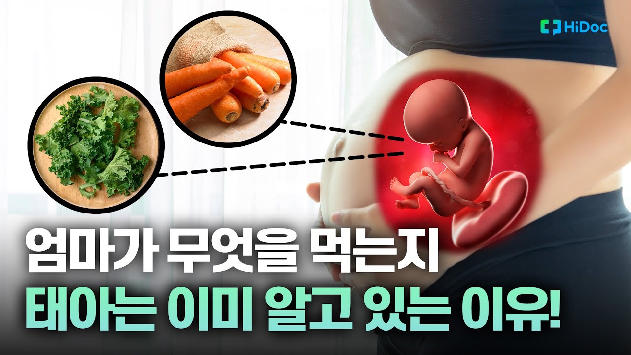 “임신 중 먹는 음식 따라 아기 입맛 변할 수 있다?”…태아도 맛 느낄 수 있어 [하이닥TV]