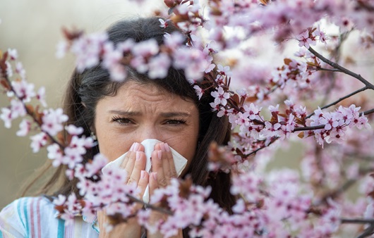 봄철에는 꽃가루로 인한 알레르기 비염을 주의해야 한다｜출처: 게티이미지뱅크