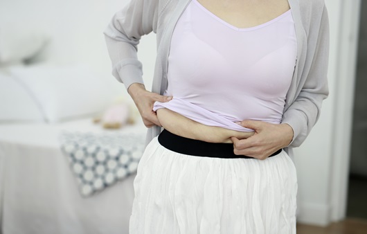 폐경 전후로 찾아오는 갱년기에는 비만을 주의해야 한다｜출처: 클립아트코리아