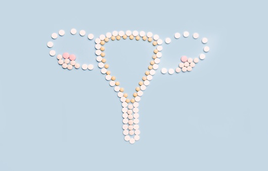 여성호르몬은 난소에서 생산되는 에스트로겐과 프로게스테론을 말한다ㅣ출처: 게티이미지뱅크