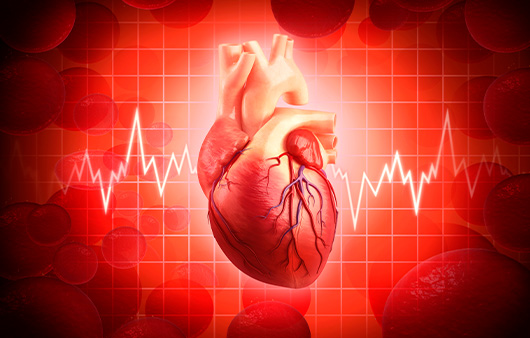 위험한 합병증을 유발할 수 있는 심방세동. 고위험군은 각별한 주의가 당부된다｜출처: 클립아트코리아