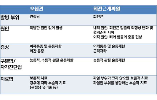 오십견 vs 회전근개파열ㅣ출처: 하이닥