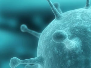 신종 바이러스 발견, ‘제 2의 사스’ 몰려오나?  