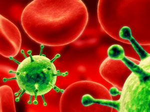 암세포만 선택적으로 죽이는 바이러스 발견