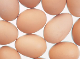 AI에도 아이에게 매일 달걀 먹이는 이유는?